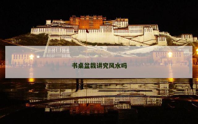 书桌盆栽讲究风水吗