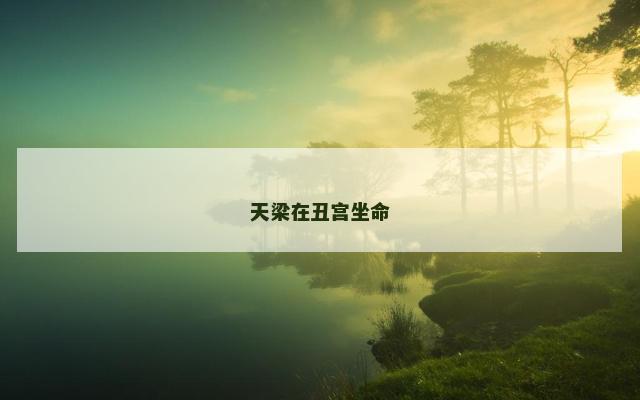 天梁在丑宫坐命