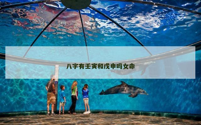 八字有壬寅和戊申吗女命