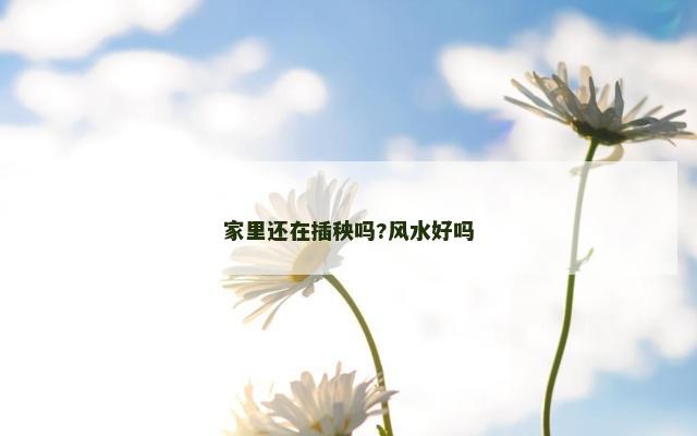 家里还在插秧吗?风水好吗
