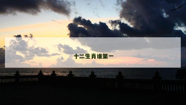十二生肖谁第一