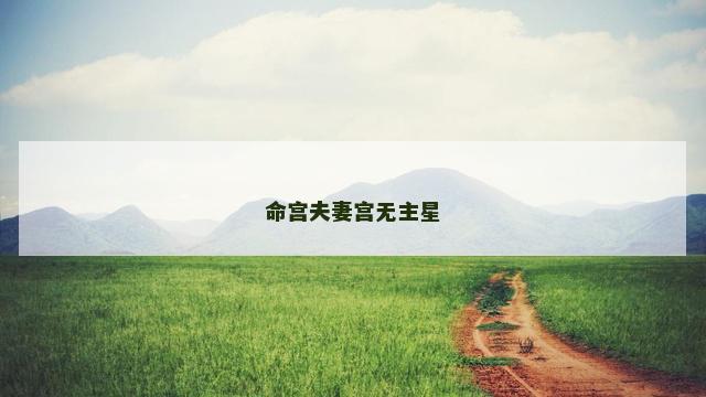 命宫夫妻宫无主星