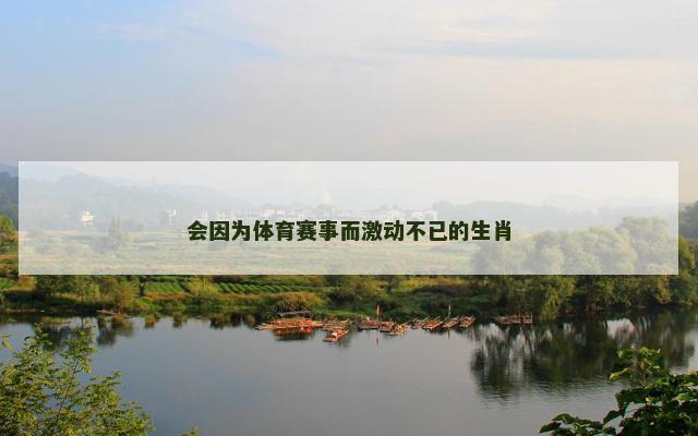 会因为体育赛事而激动不已的生肖
