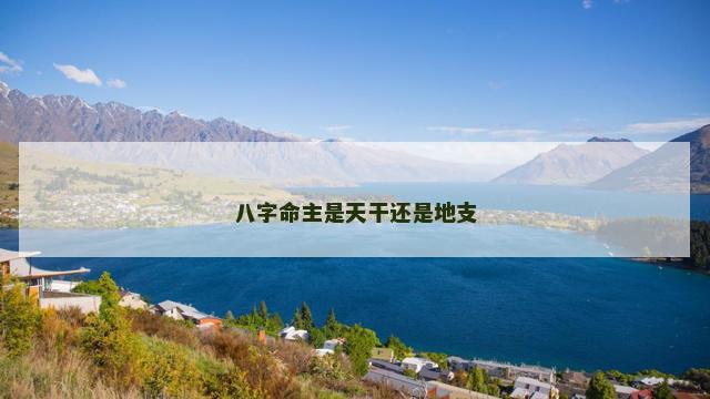 八字命主是天干还是地支