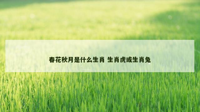 春花秋月是什么生肖 生肖虎或生肖兔