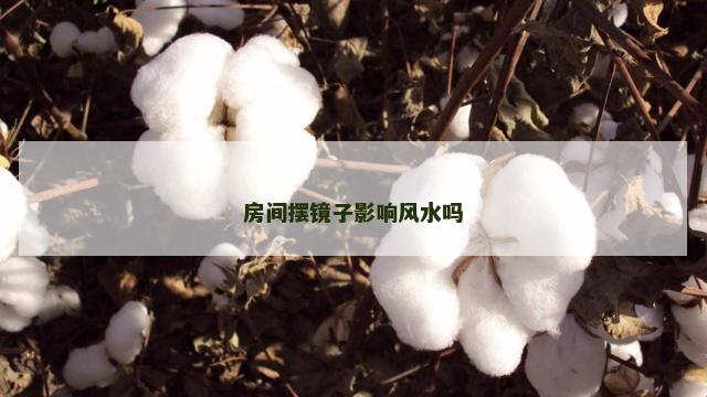 房间摆镜子影响风水吗