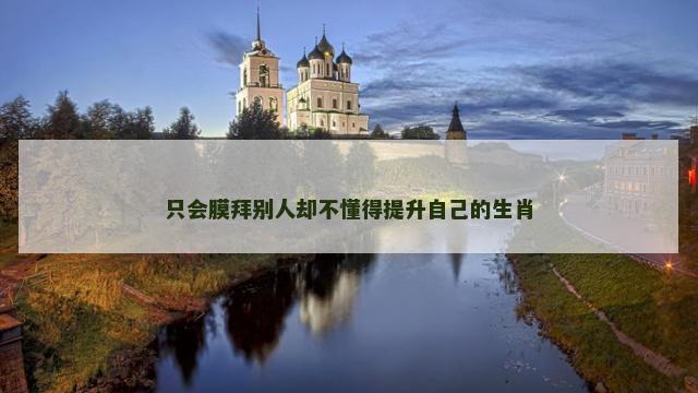 只会膜拜别人却不懂得提升自己的生肖