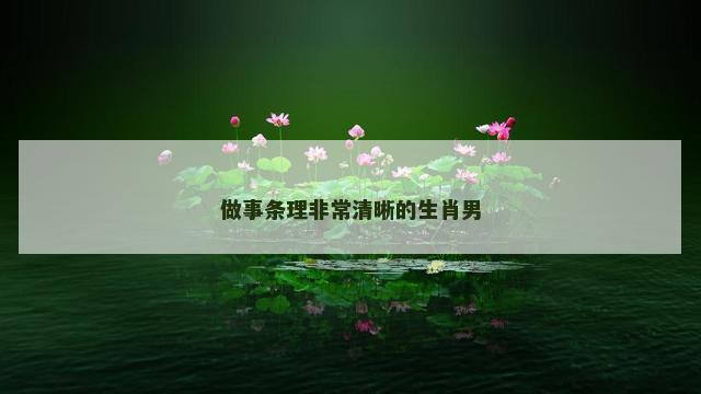 做事条理非常清晰的生肖男