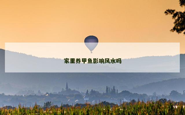 家里养甲鱼影响风水吗