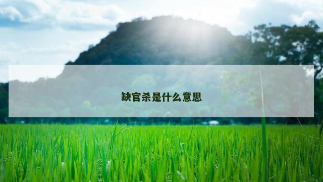 缺官杀是什么意思