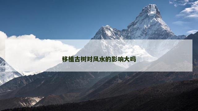 移植古树对风水的影响大吗