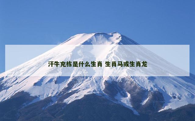 汗牛充栋是什么生肖 生肖马或生肖龙