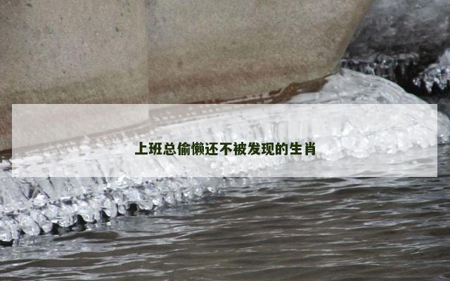 上班总偷懒还不被发现的生肖