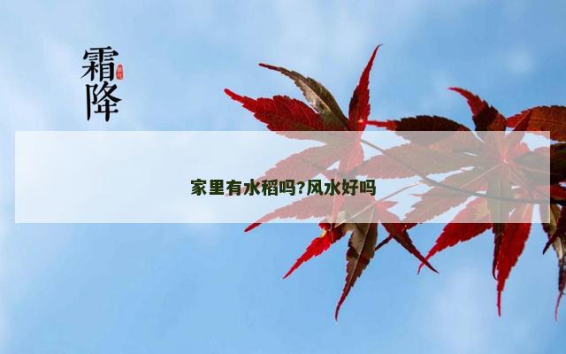 家里有水稻吗?风水好吗