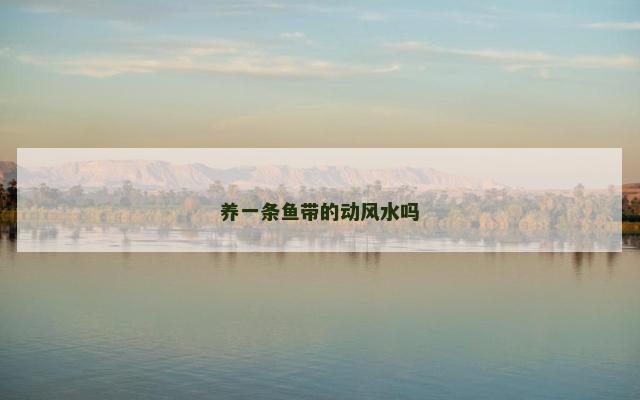 养一条鱼带的动风水吗