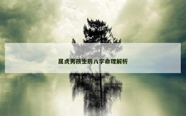 属虎男孩生辰八字命理解析