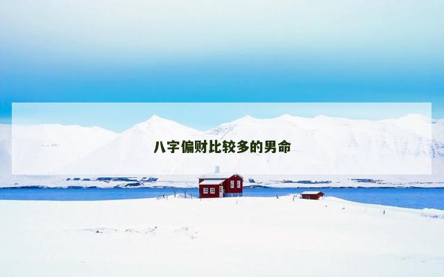 八字偏财比较多的男命