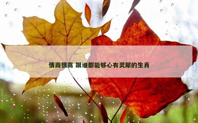 情商很高 跟谁都能够心有灵犀的生肖