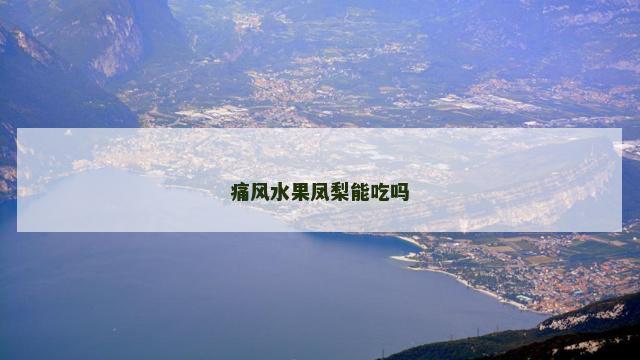 痛风水果凤梨能吃吗