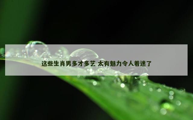 这些生肖男多才多艺 太有魅力令人着迷了
