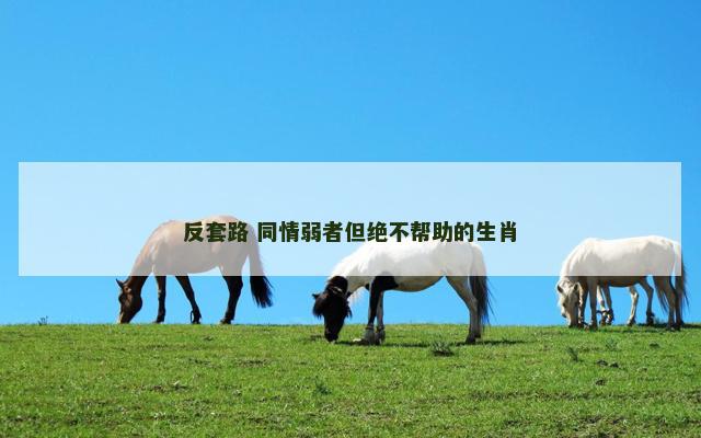 反套路 同情弱者但绝不帮助的生肖