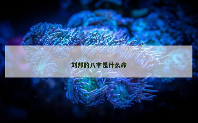 刘邦的八字是什么命