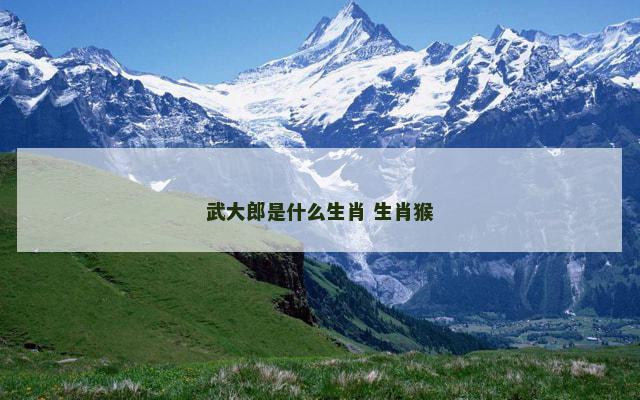 武大郎是什么生肖 生肖猴