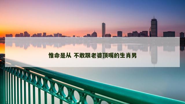 惟命是从 不敢跟老婆顶嘴的生肖男