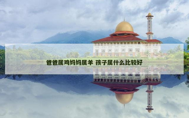 爸爸属鸡妈妈属羊 孩子属什么比较好