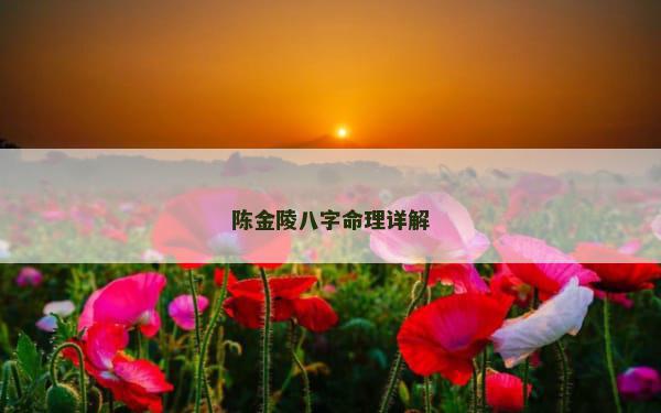 陈金陵八字命理详解