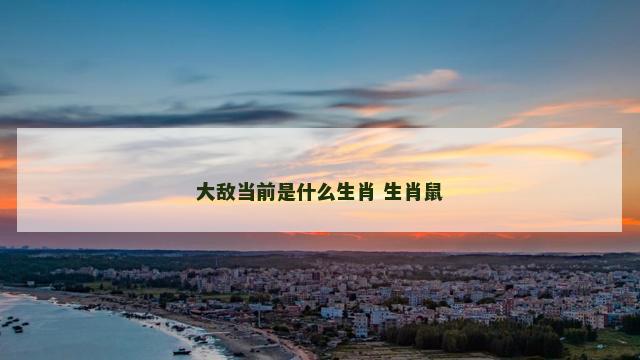 大敌当前是什么生肖 生肖鼠