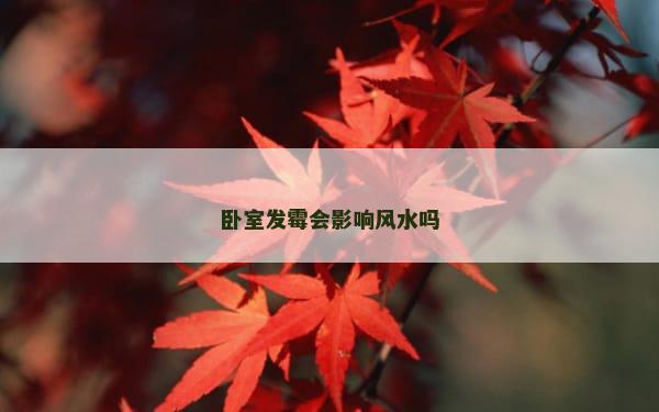 卧室发霉会影响风水吗