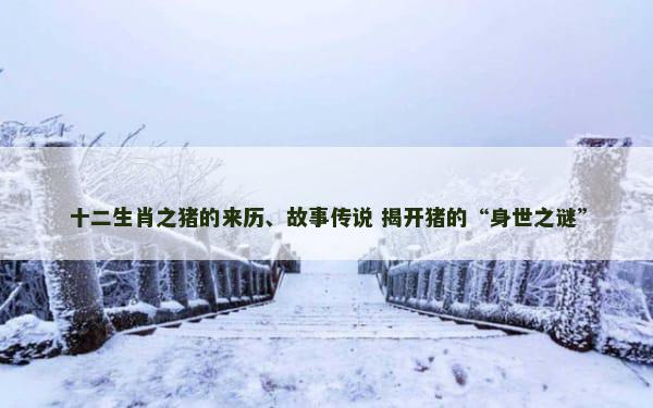 十二生肖之猪的来历、故事传说 揭开猪的“身世之谜”