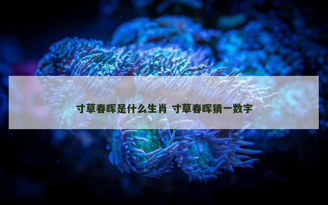 寸草春晖是什么生肖 寸草春晖猜一数字