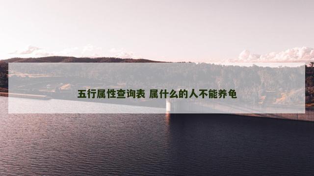 五行属性查询表 属什么的人不能养龟