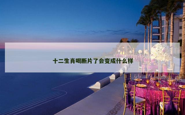十二生肖喝断片了会变成什么样