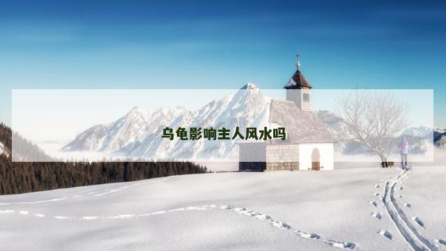 乌龟影响主人风水吗