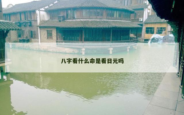八字看什么命是看日元吗