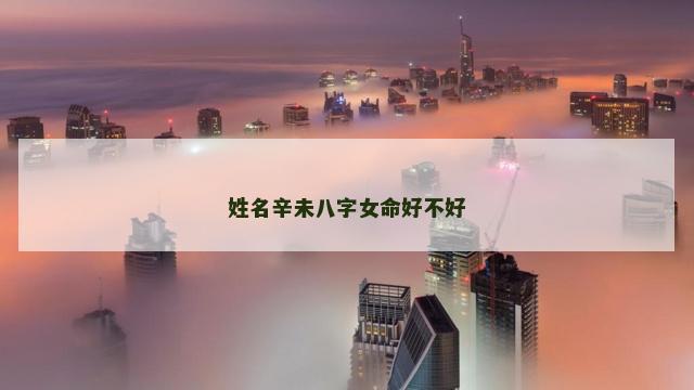 姓名辛未八字女命好不好