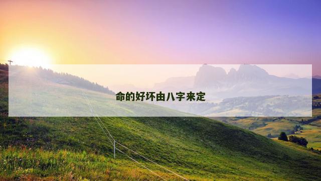 命的好坏由八字来定