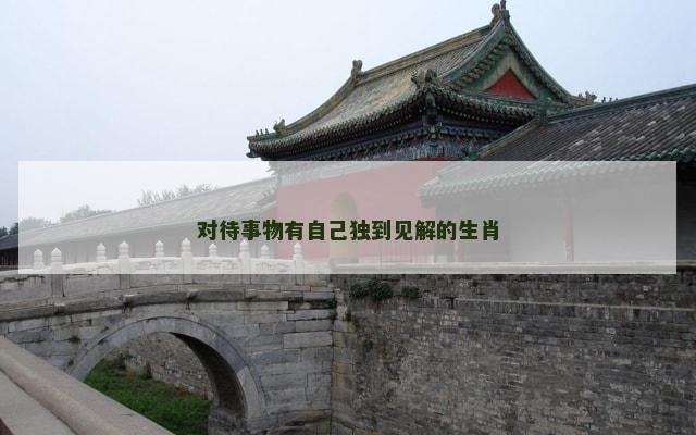 对待事物有自己独到见解的生肖
