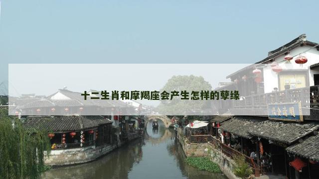 十二生肖和摩羯座会产生怎样的孽缘