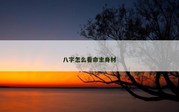八字怎么看命主身材