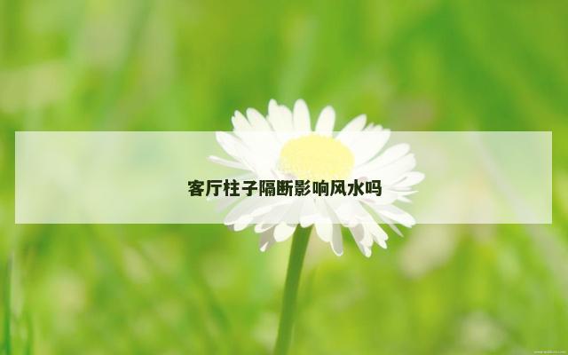 客厅柱子隔断影响风水吗