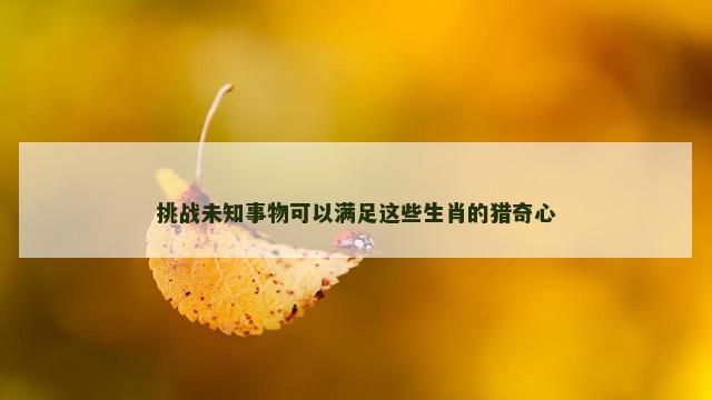 挑战未知事物可以满足这些生肖的猎奇心