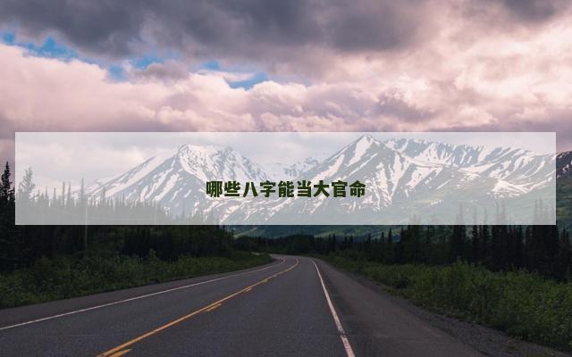 哪些八字能当大官命