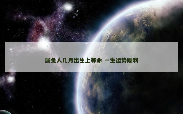 属兔人几月出生上等命 一生运势顺利
