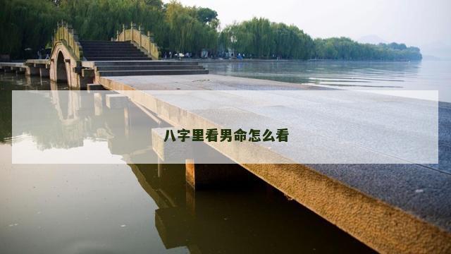 八字里看男命怎么看