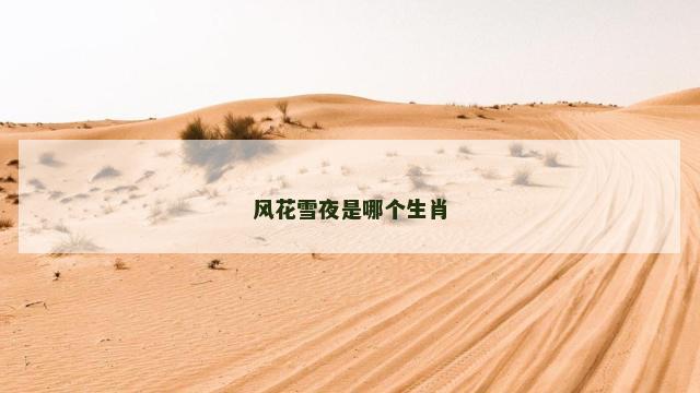 风花雪夜是哪个生肖