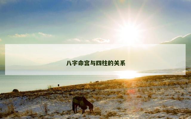 八字命宫与四柱的关系